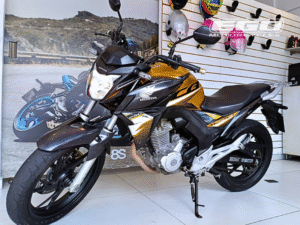 CB 250 TWISTER FLEX (1)