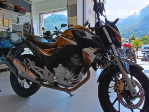 CB 250 TWISTER FLEX (2)