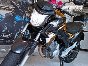 CB 250 TWISTER FLEX (3)
