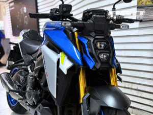 GSX S1000 AZUL (5)