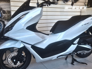 PCX (1)